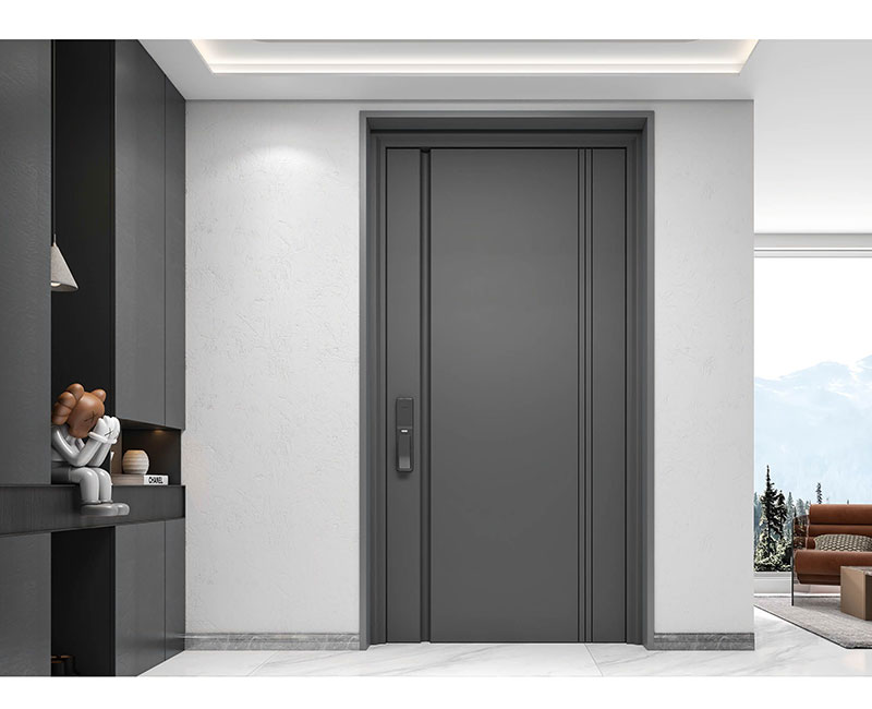 极简推拉门DLXTLM-06